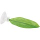 Betta Bed Leaf Hammock ZOOMED