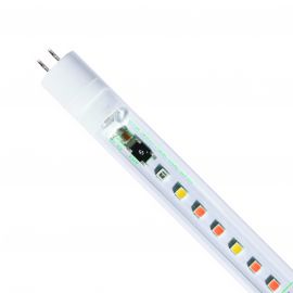 T5 LED Freshwater Pro 8000K 55cm - 8W