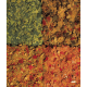 Tetra Menu 250ml