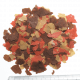 Tetra Goldfish Colour flakes 250ml
