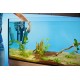 Oase BioPlus 200