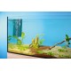 Oase BioPlus 200