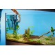 Oase BioPlus 200