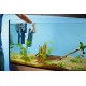 Oase BioPlus 200