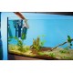 Oase BioPlus 200