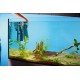 Oase BioPlus 200