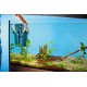 Oase BioPlus 200