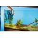 Oase BioPlus 200