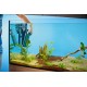 Oase BioPlus 200