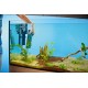 Oase BioPlus 200