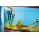 Oase BioPlus 200