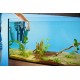 Oase BioPlus 200