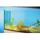 Oase BioPlus 200