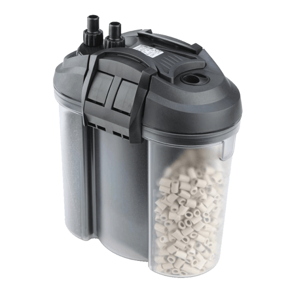 eden filtre rencontre