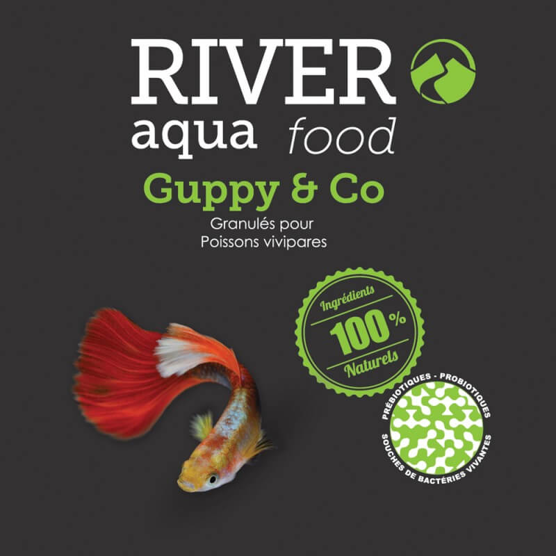 River Aqua Food Guppy & Co 250ml - Nourriture pour guppy, platy, Molly, et  autres vivipares en aquarium