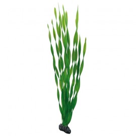 Hobby Plante artificielle Vallisneria 60cm