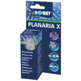 Hobby Planaria X