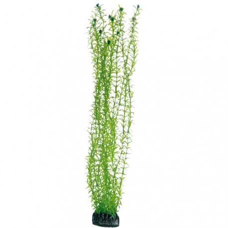 Hobby Plante artificielle Lagarosiphon 60cm