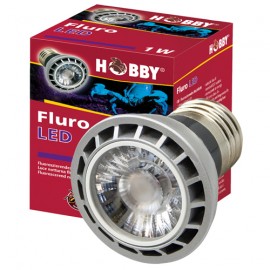 Hobby Fluro LED 1W
