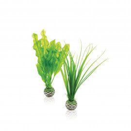 biOrb Petit Set de plantes vertes