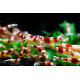 Crevette Red Crystal Grade A-B