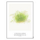 Tropica Carte d'art - Aquarelle - Utricularia graminifolia