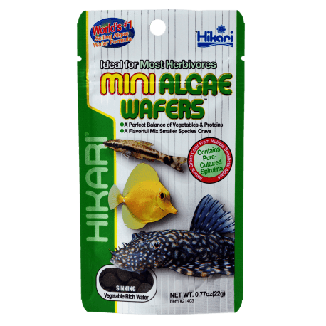 Hikari Mini Algae Wafers 22 gr