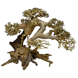 Superfish BONSAI Driftwood L - Bonsaï