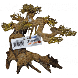 Superfish BONSAI Driftwood M - Bonsaï