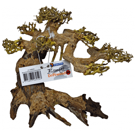 Superfish BONSAI Driftwood M - Bonsaï Superfish BONSAI Driftwood M - Bonsaï
