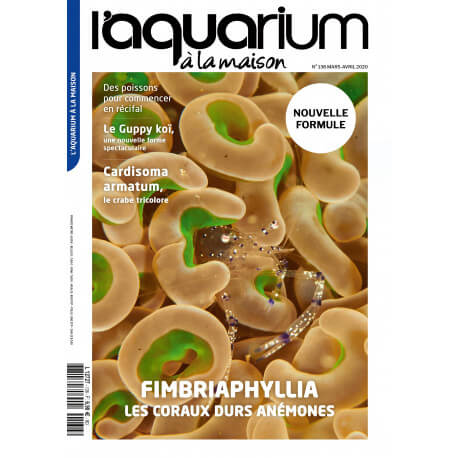 Aquarium à la Maison N°138 NOUVELLE FORMULE