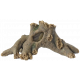 SUPERFISH TREE ROOT L 49X24X21CM