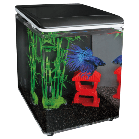 SUPERFISH HOME 8 AQUARIUM NOIR