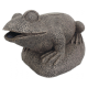 SUPERFISH FROG FILTER