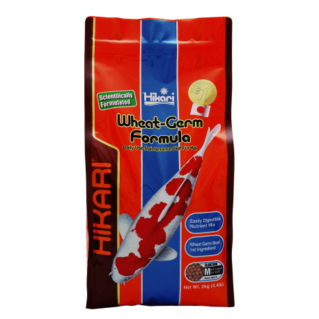 HIKARI WHEAT-GERM MEDIUM 2KG