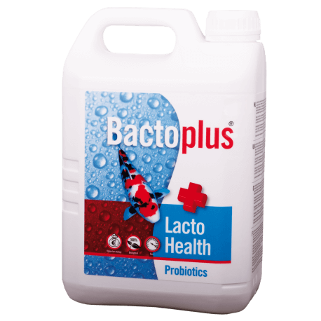Colombo Bactoplus Lacto Health 2,5L - Bactéries Probiotiques