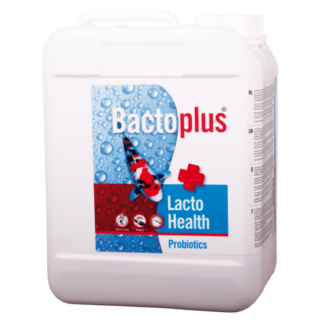 Colombo Bactoplus Lacto Health 5L - Bactéries probiotiques