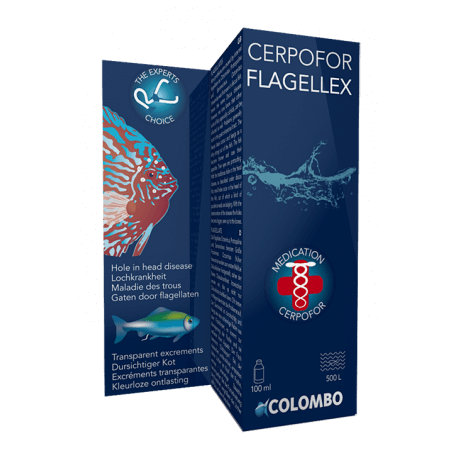 COLOMBO FLAGELLEX 100ML