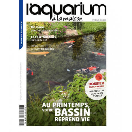 Aquarium à la Maison N°139 NOUVELLE FORMULE