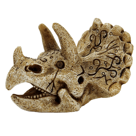 SUPERFISH SKULL TRICERATOPS S