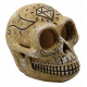 SUPERFISH SKULL MONKEY