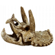 SUPERFISH SKULL TRICERATOPS M