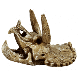 SUPERFISH SKULL TRICERATOPS M