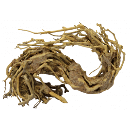 Superfish BONSAI WAVE L