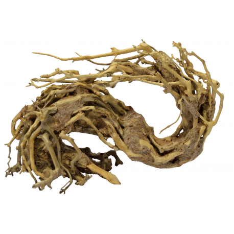 Superfish BONSAI WAVE L