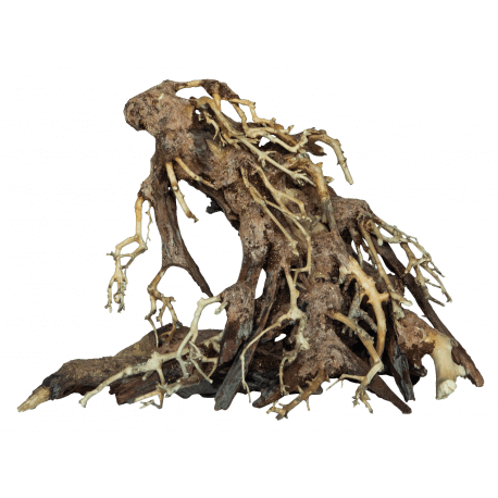 Superfish BONSAI ROOT S