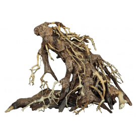 Superfish BONSAI ROOT M