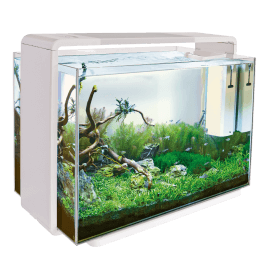 SUPERFISH HOME 110 AQUARIUM BLANC