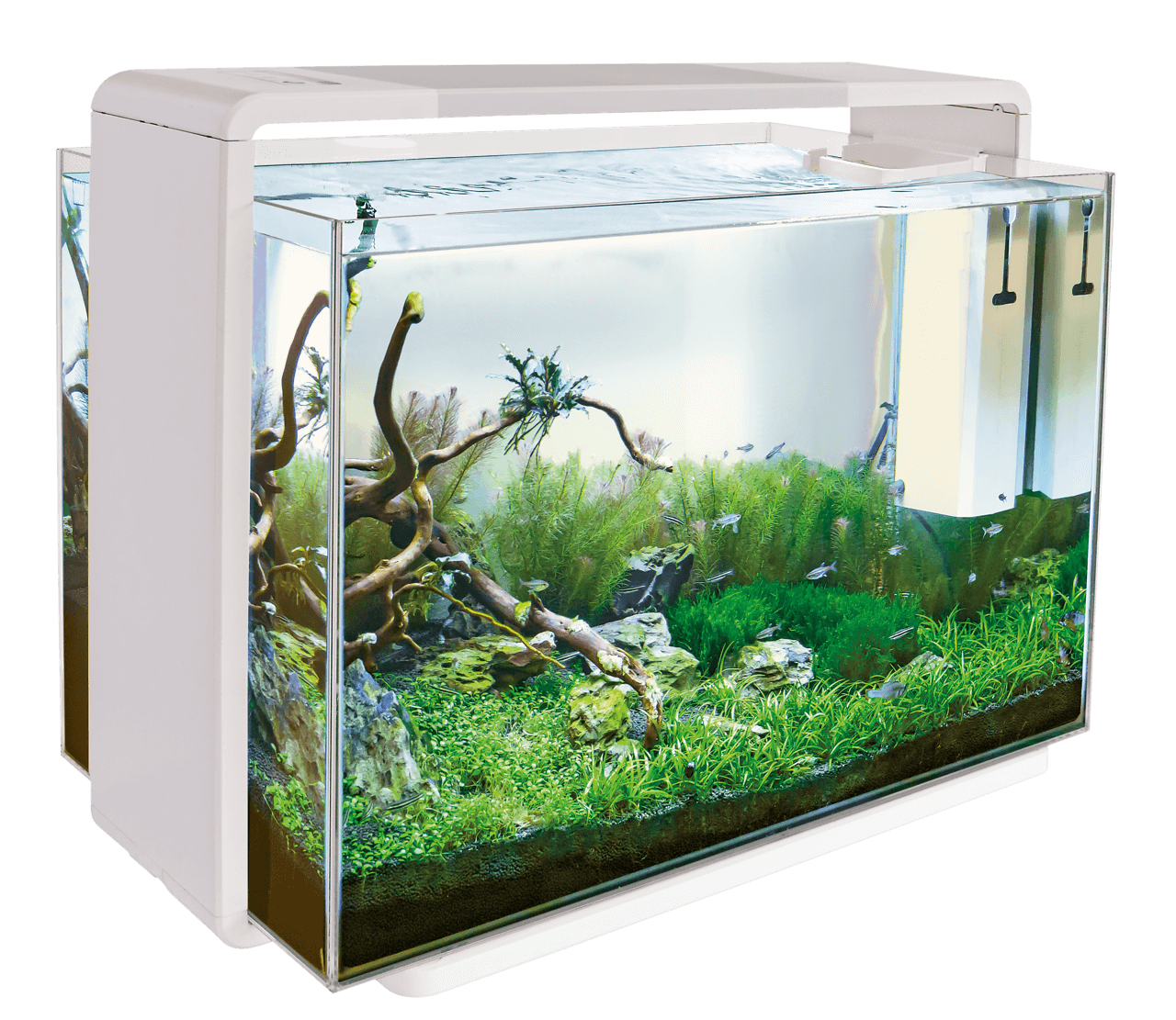 SUPERFISH HOME 110 AQUARIUM BLANC - Aquaplante