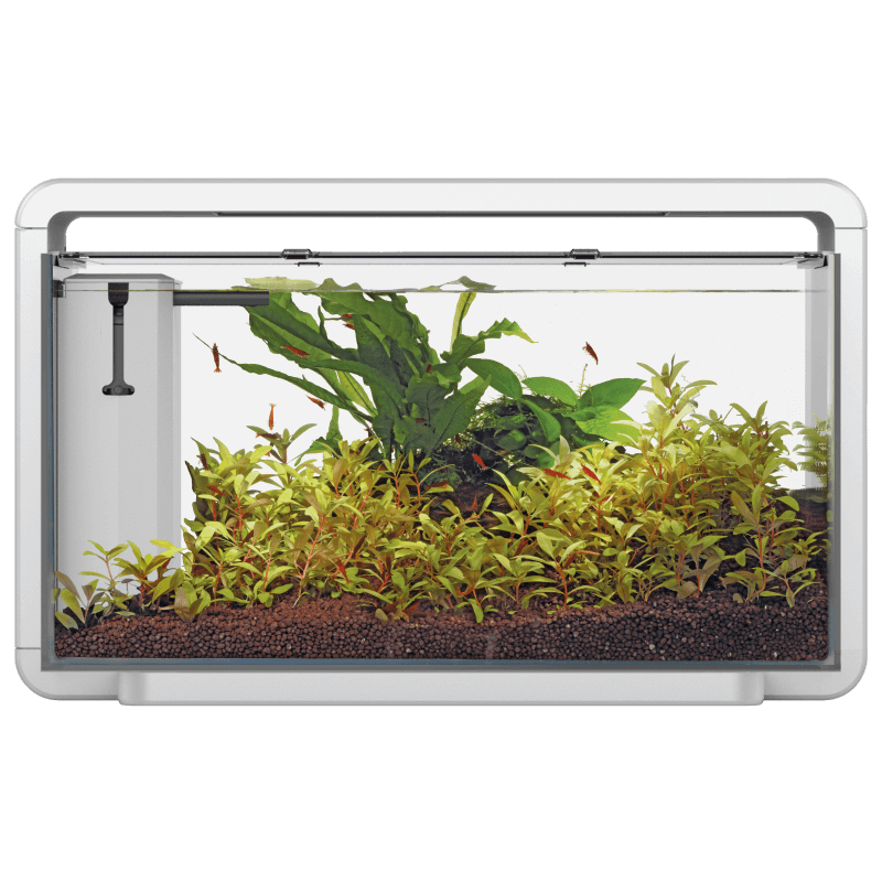 SUPERFISH HOME 30 AQUARIUM BLANC Aquaplante